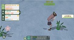 小森生活止风草什么时候刷新?小森生活止风草在哪个位置?