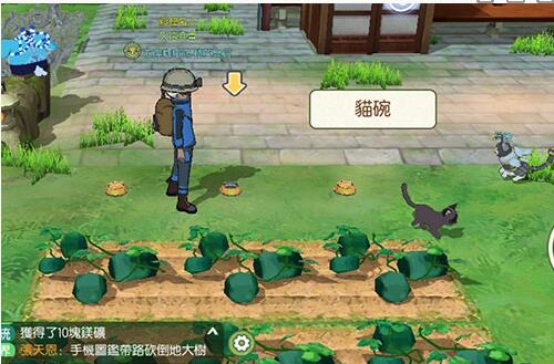 小森生活猫碗怎么获得？小森生活猫碗获得方法介绍