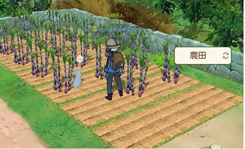 小森生活猫碗怎么获得？小森生活猫碗获得方法介绍