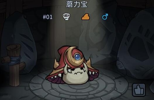 提灯与地下城宠物怎么搭配？提灯与地下城宠物搭配推荐