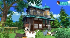 小森生活怎么领养第二只猫 小森生活领养猫咪攻略