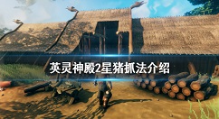 英灵神殿2星猪怎么抓 英灵神殿2星猪抓法介绍