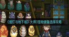 提灯与地下城大师3宠物装备怎么选择？提灯与地下城大师3宠物装备选择攻略