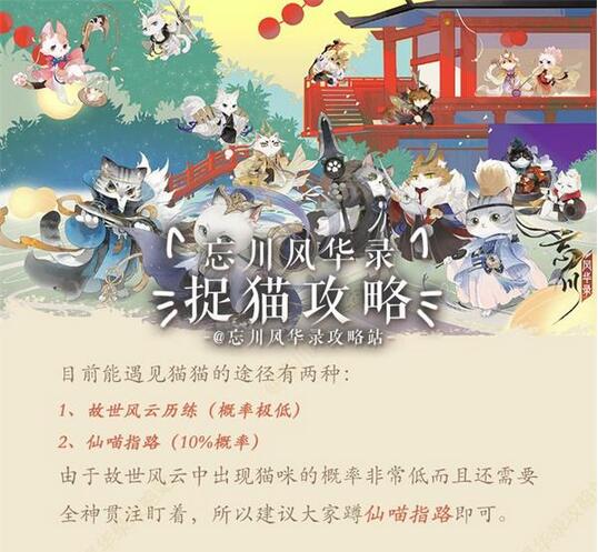 忘川风华录如何捉猫？忘川风华录捉猫方法介绍