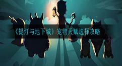 提灯与地下城宠物天赋怎么选 提灯与地下城宠物天赋选择攻略