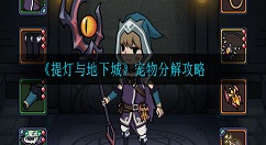 提灯与地下城宠物分解值得吗 提灯与地下城宠物分解攻略