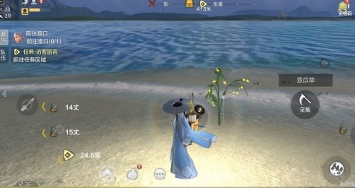 妄想山海龙骨草东山位置在哪？妄想山海龙骨草东山位置信息分享