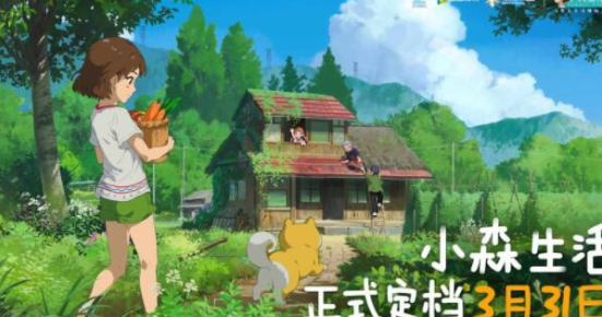 小森生活在哪里购买滑翔伞？小森生活滑翔伞购买位置