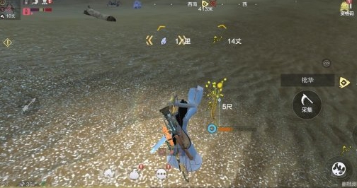 妄想山海龙骨草东山位置在哪？妄想山海龙骨草东山位置信息分享