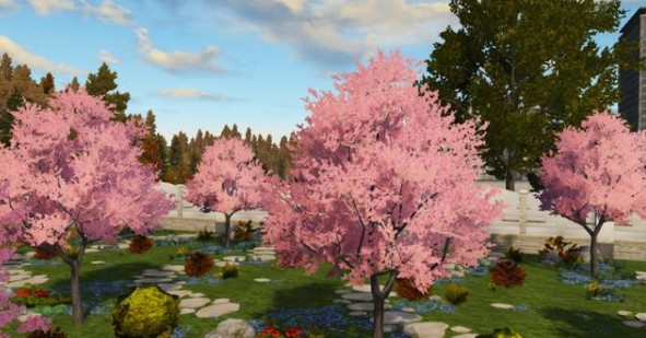 明日之后2021末世樱花季如何玩?明日之后末世樱花季与白色情人节详解