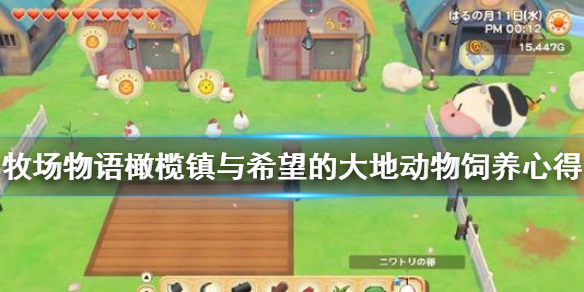 牧场物语橄榄镇与希望的大地动物饲养要注意什么？牧场物语动物饲养技巧