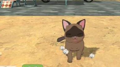 小森生活怎么领养家猫？小森生活领养家猫方法介绍