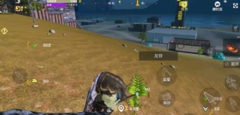 妄想山海嘉荣草怎么用？妄想山海嘉荣草使用攻略