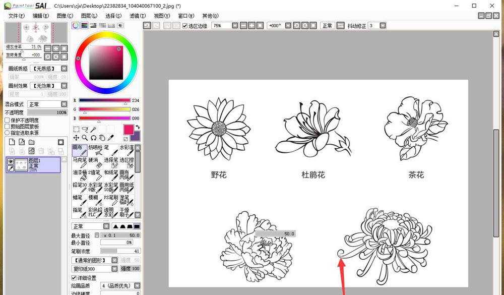 sai怎样设置图层面板显示位置 sai图层面板显示位置设置步骤