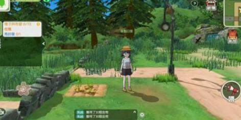 小森生活金母鸡在哪？小森生活金母鸡位置介绍