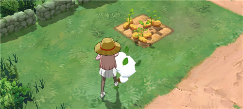 小森生活土地如何铲平?小森生活土地弄整平攻略