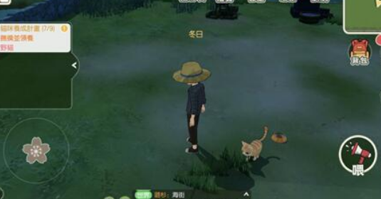 小森生活怎么领养家猫？小森生活领养家猫方法介绍