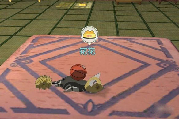 小森生活怎么喂野猫？小森生活喂野猫方法技巧