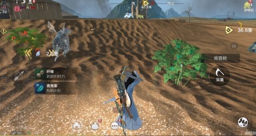 妄想山海龙骨草东山位置在哪？妄想山海龙骨草东山位置信息分享