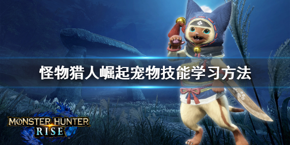 怪物猎人崛起宠物技能怎么学?怪物猎人崛起宠物技能学习方法