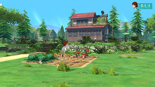 小森生活雪月狐在哪？小森生活雪月狐位置介绍