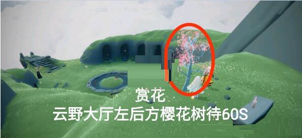 光遇4月8日每日任务怎么做？光遇4月8日每日任务完成攻略