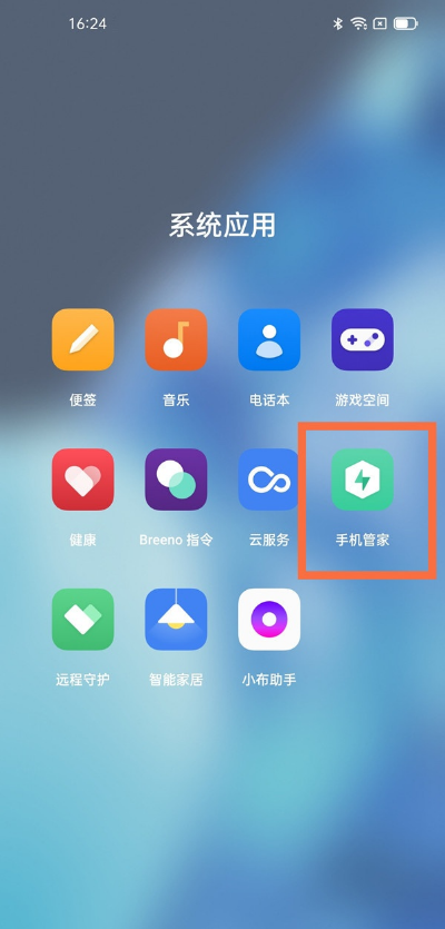 一加9pro怎样开启支付保护?一加9pro支付保护开启步骤