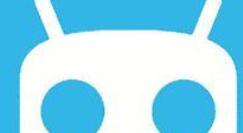 安卓11怎么养猫?安卓11设置养猫的方法