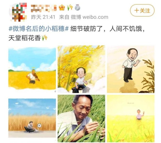 如何设置微博名后面的小稻穗?微博设置名后面的小稻穗教学