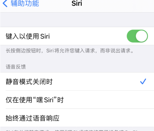 如何开启iPhone12语音助手Siri?iPhone12语音助手Siri开启方法