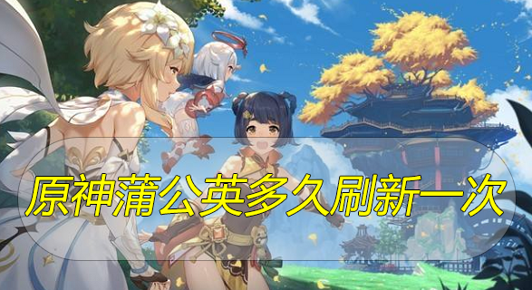 原神蒲公英刷新时间介绍 原神蒲公英多长时间刷新？