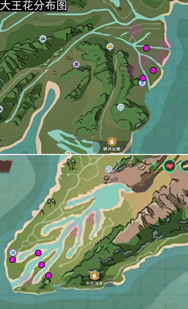 创造与魔法大王花在哪里？创造与魔法大王花位置介绍
