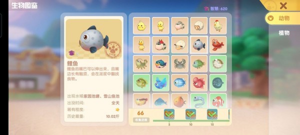 摩尔庄园手游鱼有哪些种类？摩尔庄园手游全鱼类图鉴汇总