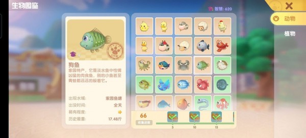 摩尔庄园手游鱼有哪些种类？摩尔庄园手游全鱼类图鉴汇总