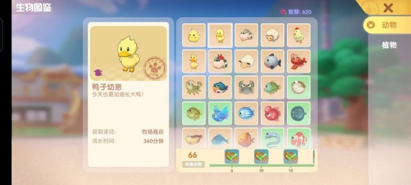 摩尔庄园手游鱼有哪些种类？摩尔庄园手游全鱼类图鉴汇总