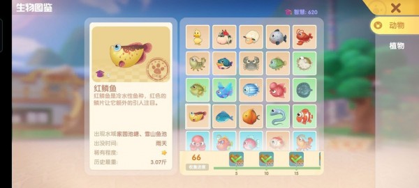 摩尔庄园手游鱼有哪些种类？摩尔庄园手游全鱼类图鉴汇总