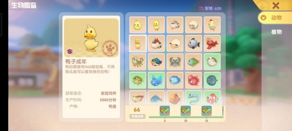 摩尔庄园手游鱼有哪些种类？摩尔庄园手游全鱼类图鉴汇总