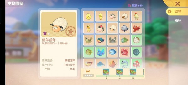 摩尔庄园手游鱼有哪些种类？摩尔庄园手游全鱼类图鉴汇总