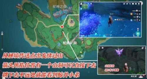 原神稻妻鲸井小弟在哪？原神稻妻鲸井小弟位置介绍