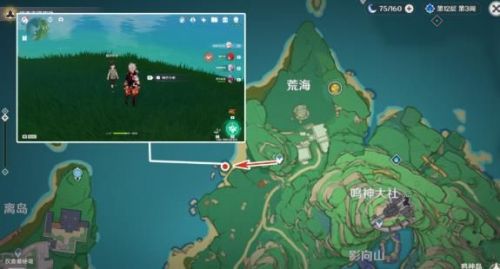 原神稻妻鲸井小弟在哪？原神稻妻鲸井小弟位置介绍