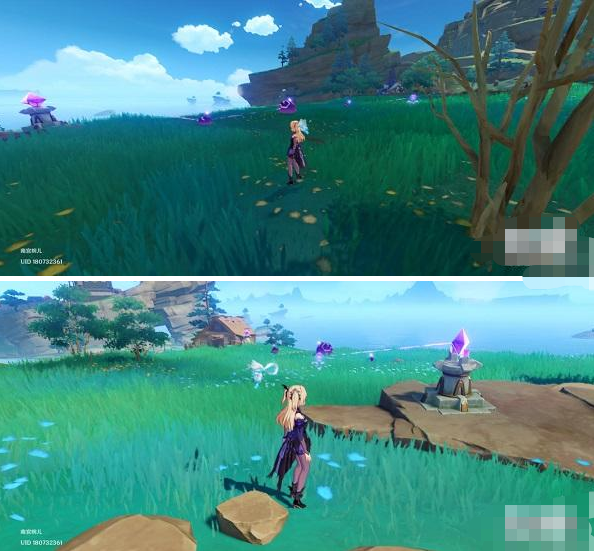 原神史莱姆朋友的珍贵宝箱怎么开启？原神史莱姆朋友的珍贵宝箱开启方法