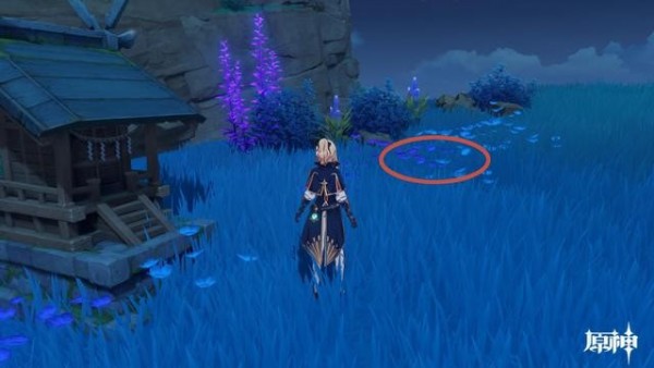 原神绯木村村长在哪？原神绯木村村长位置介绍