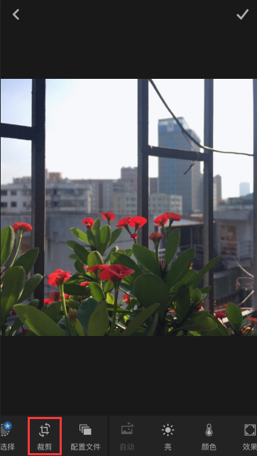 lightroom如何逆时针旋转图片的方向?lightroom逆时针旋转图片方向方法