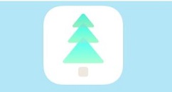 一个木函怎么收藏工具?一个木函收藏工具方法