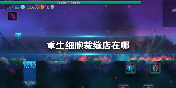 重生细胞裁缝店在哪？重生细胞裁缝店位置