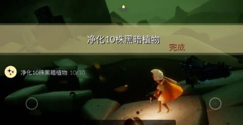 光遇8月6日每日任务怎么做？光遇8月6日每日任务完成攻略