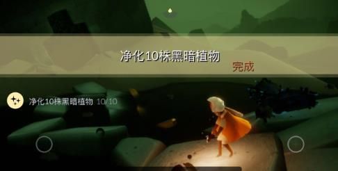 光遇8月18日每日任务怎么做？光遇8月18日每日任务完成攻略