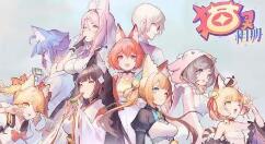 猫灵相册商店每日购买什么？猫灵相册商店每日购买推荐