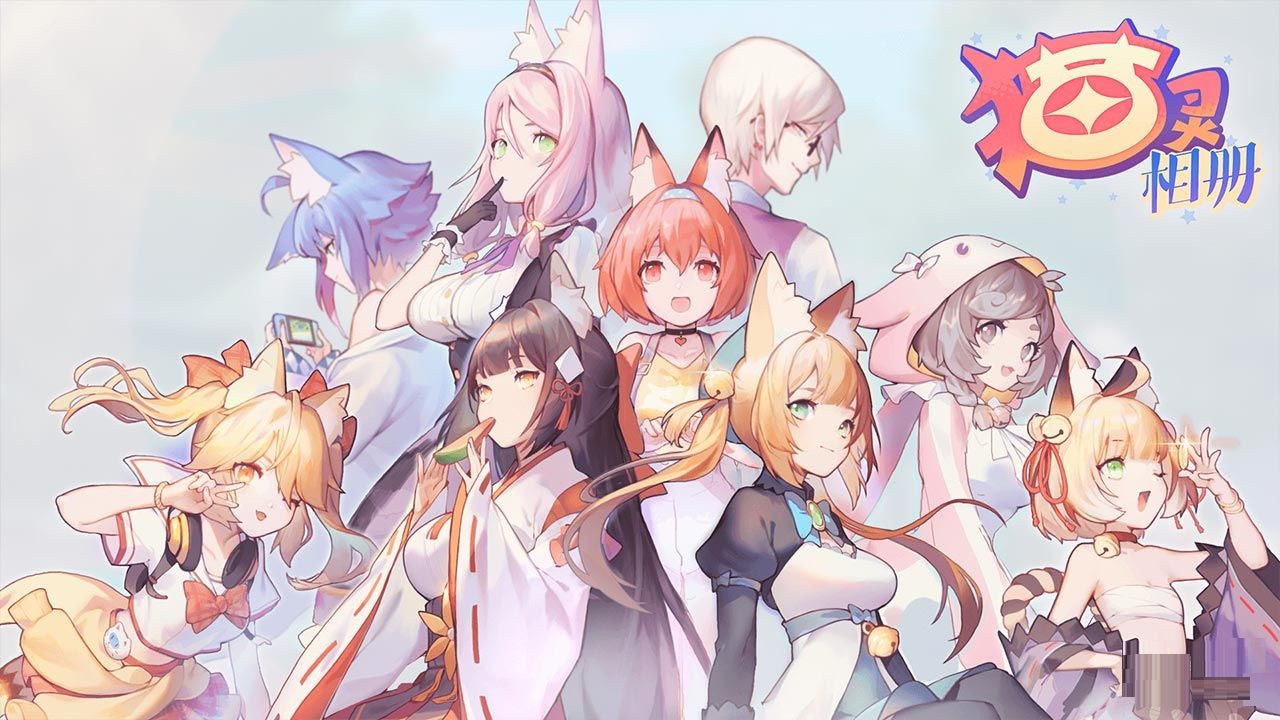 猫灵相册商店每日购买什么？猫灵相册商店每日购买推荐