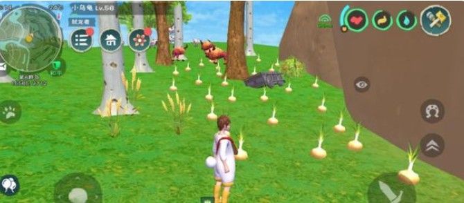 创造与魔法爆炒鱿鱼怎么做？创造与魔法爆炒鱿鱼做法